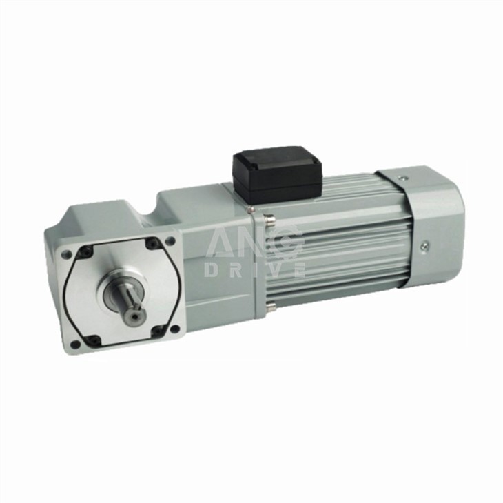 AC right angle solid shaft gear motor with terminal box