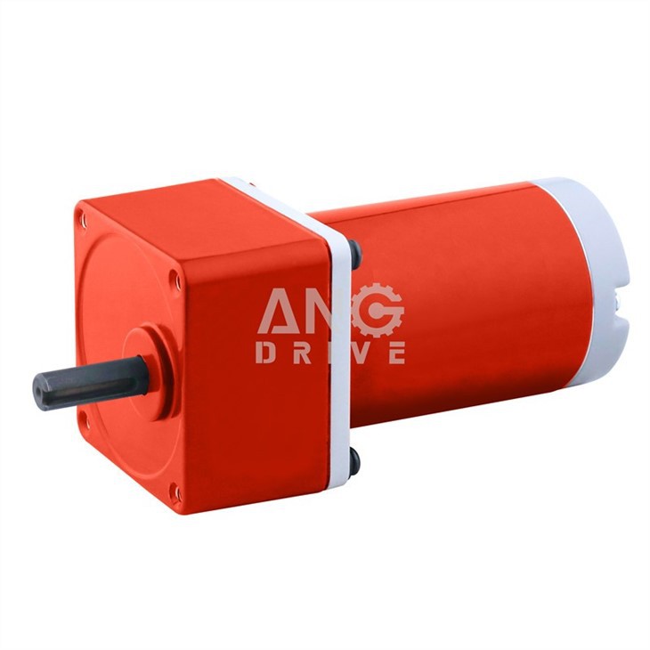 DC gear motor