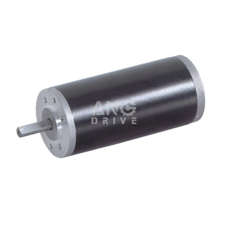Brushless  Motor