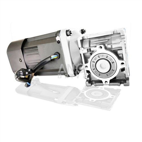 ورم گیئرموٹر