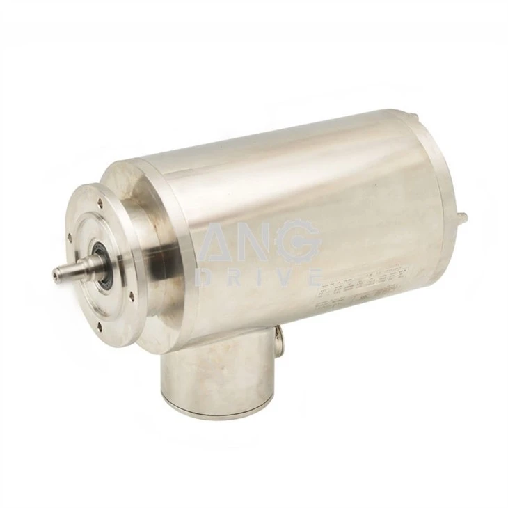 Stainless Steel 304 electric motor