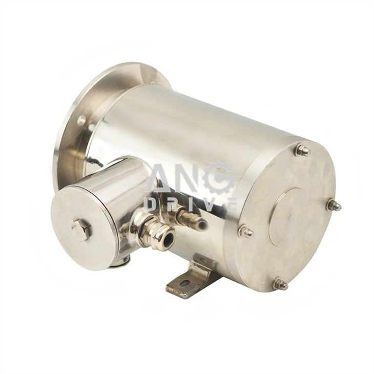 Stainless-steel-helical-gear-motor