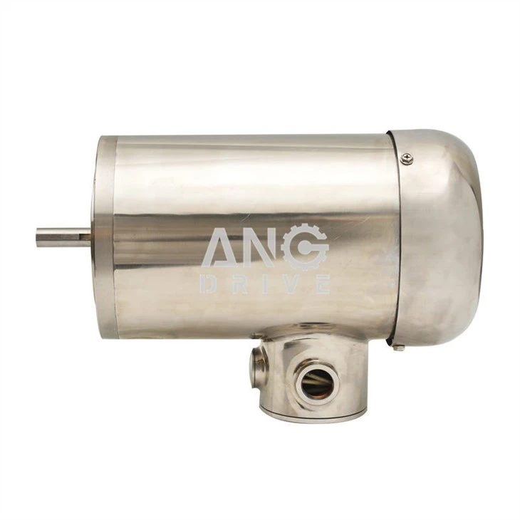 Stainless-steel-helical-gear-motor