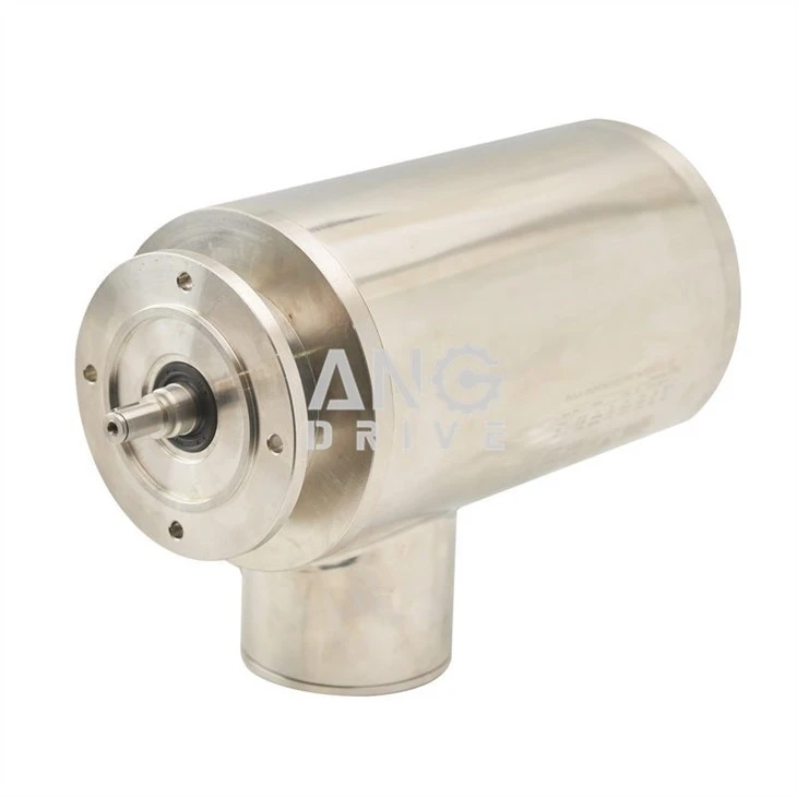 Stainless-steel-helical-gear-motor
