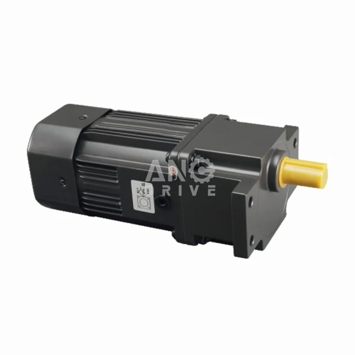 AC gear motor with ear