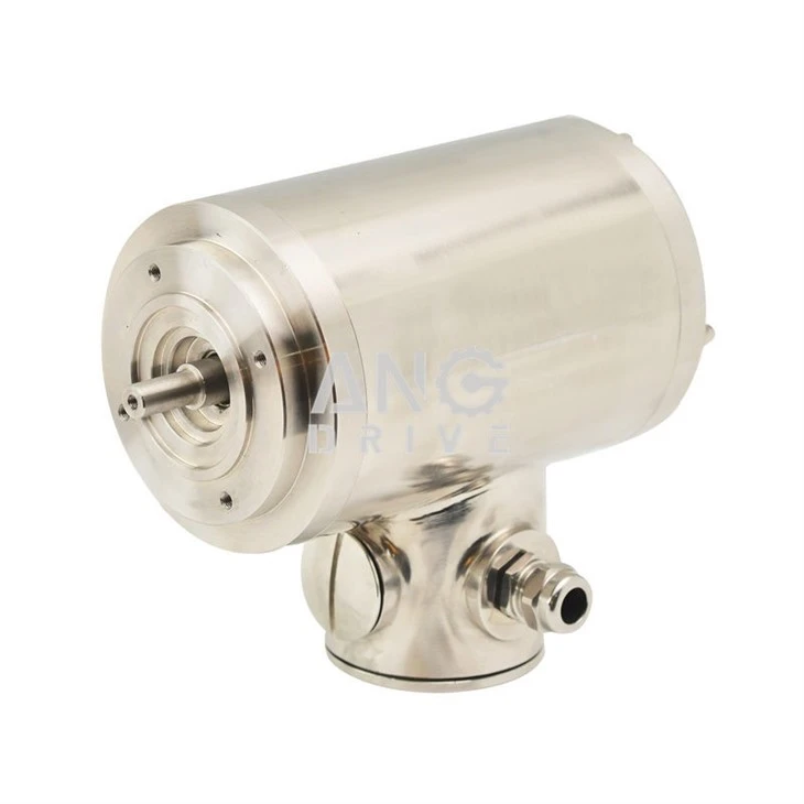 Hygienic 304 motors