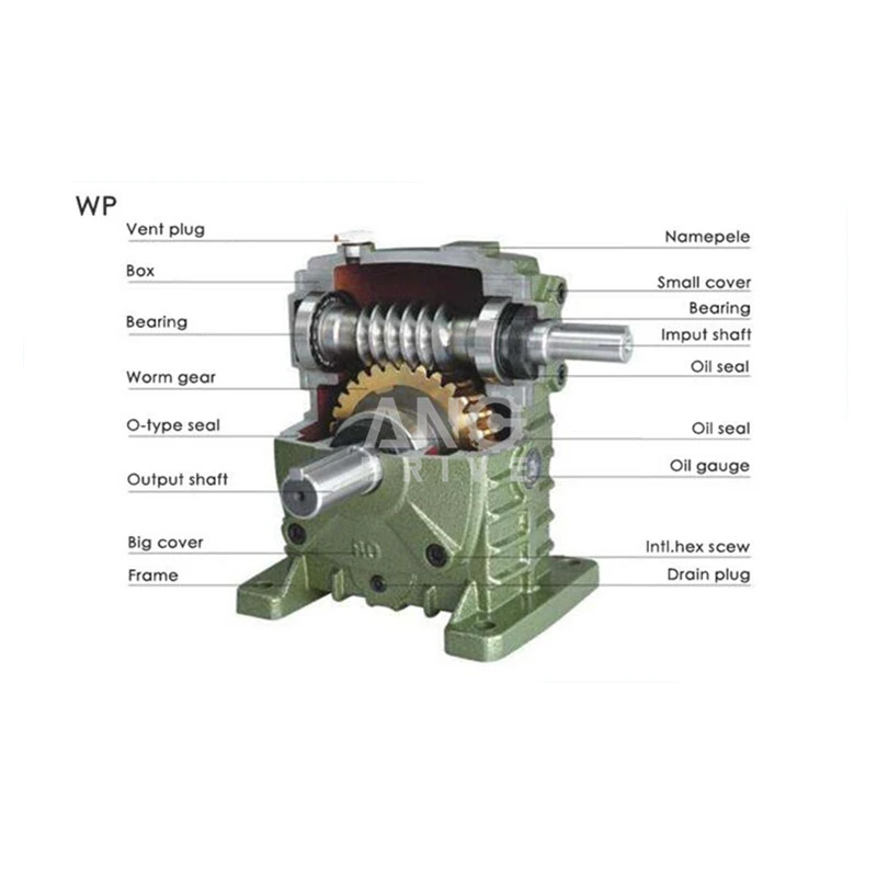 product-800-800 product-800-800
