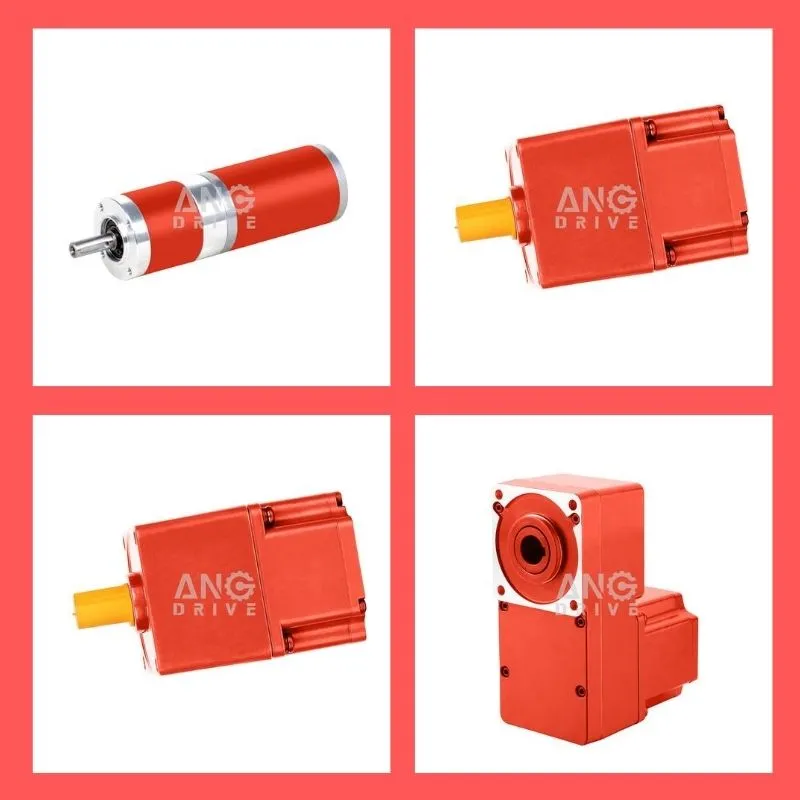 product-800-800